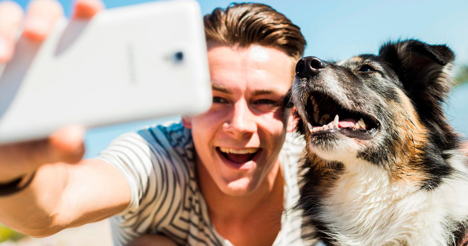 Pet Grooming Mitts | Clean-Up Bags and More - TheDutyMitt