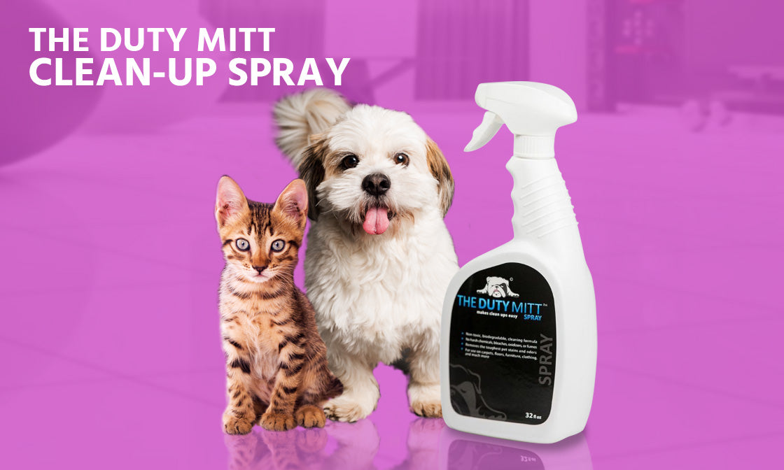 Cleaning up cat spray hotsell