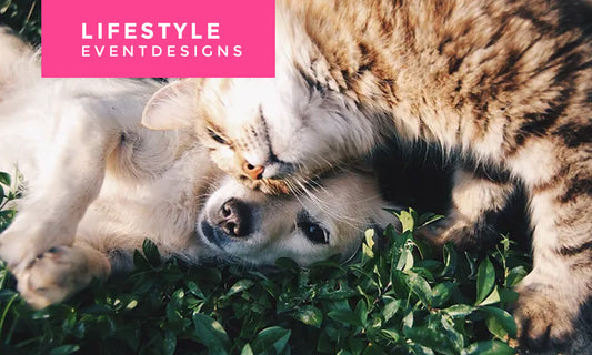 LifeStyleEventDesigns.com: 9 Best Gift Ideas For Pet Lovers!