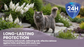 The Duty Mitt Tick + Flea Repellent Mitt for Cats, Plant-Based, 6-Pack
