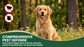 The Duty Mitt Tick + Flea Repellent Mitt for Dogs, Plant-Based, 6-Pack