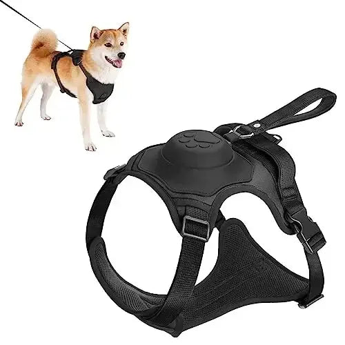 Dog Harness and Retractable Leash Set