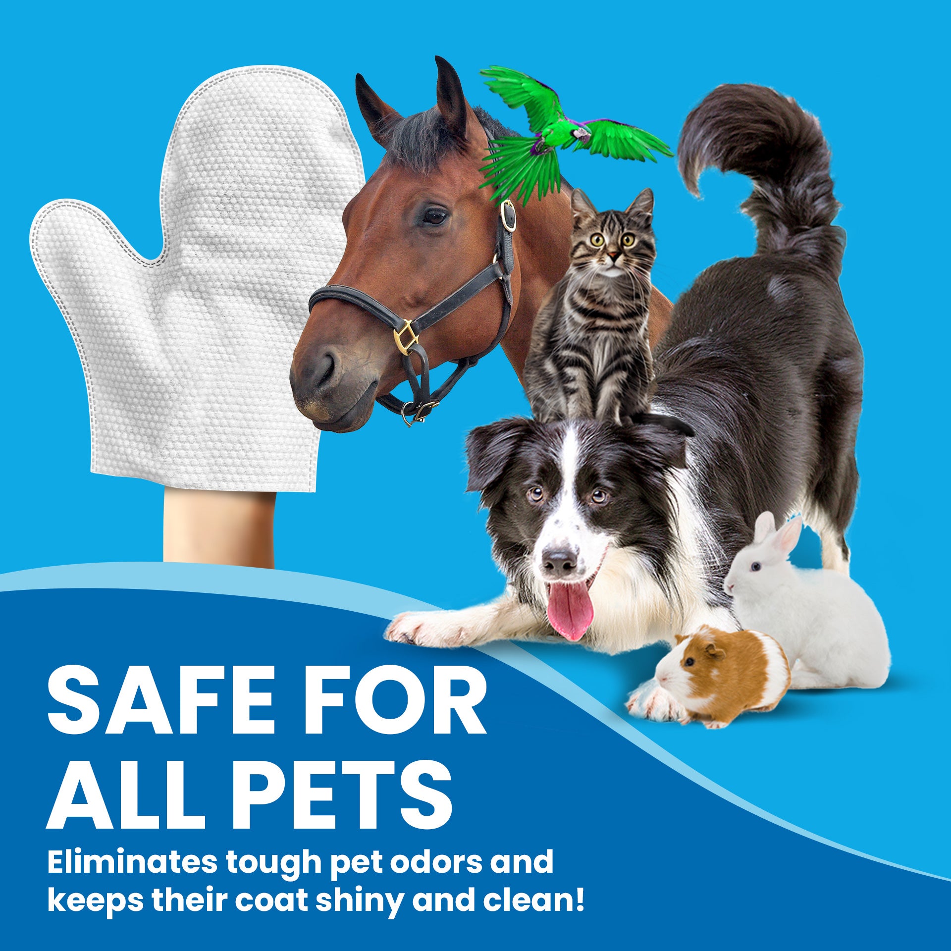 Safe for all pets: cleaning mitt shown with a horse, dog, cats, rabbit and guinea pig